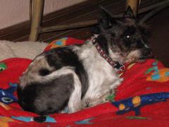 Splash5.JPG Splash5.JPG